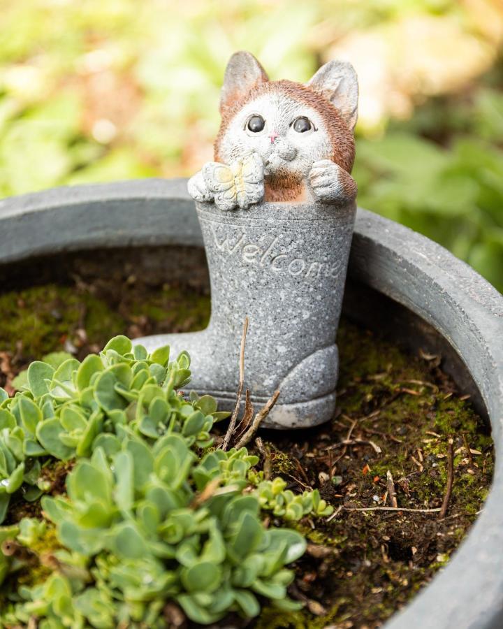 Studio Bienvenue Du Cote De Chez Nous Avec Jardin Privatif Wignehies ภายนอก รูปภาพ